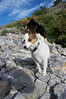 Maisy in the saddle above Alexander Basin